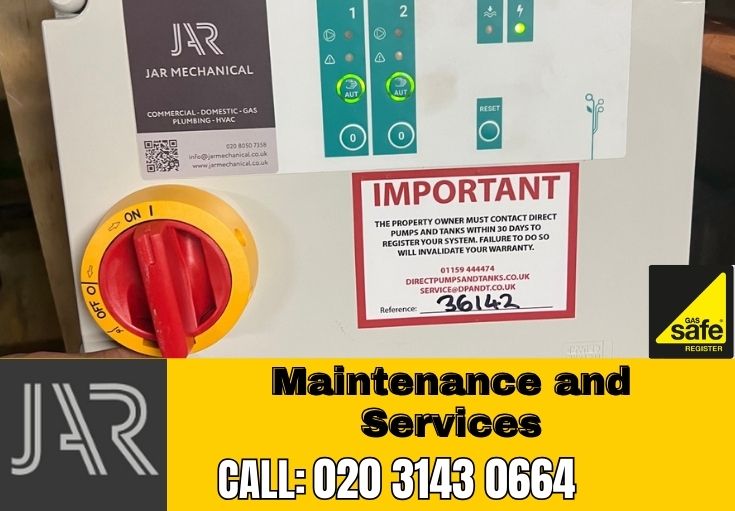 Domestic Maintenance and Services Brixton